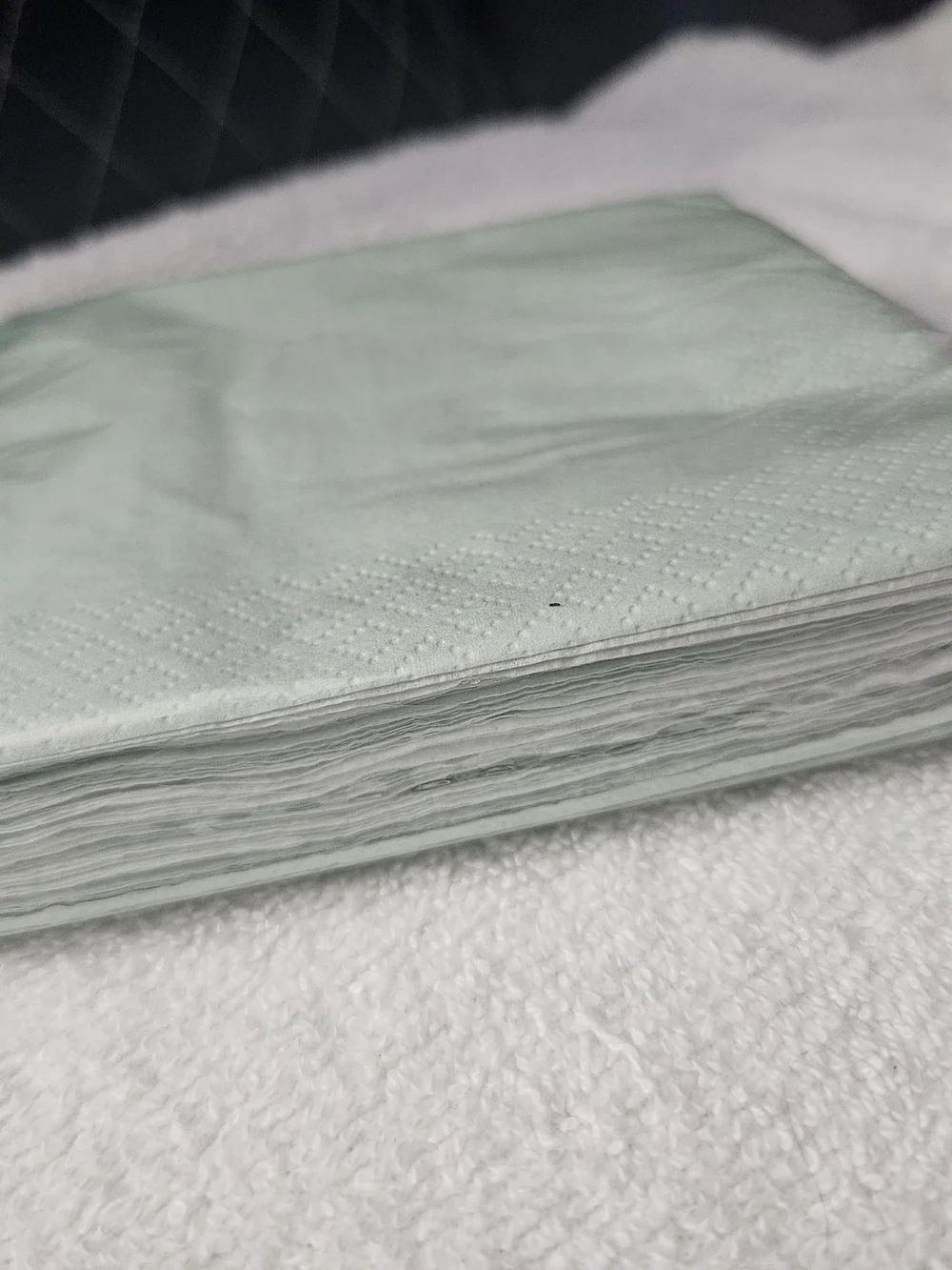 Spritz Soft Mint Disposable Party Napkins - Pack of 30 Decorative Paper Napkins